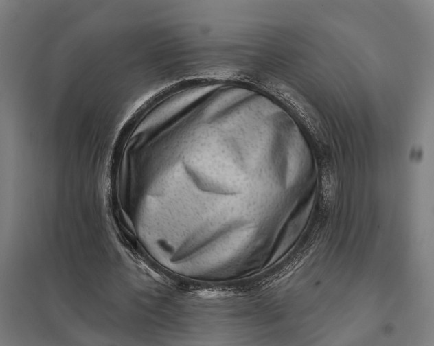 X0000097850532200803281251