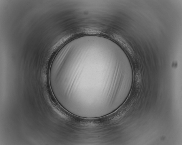 X0000097850533200803281251