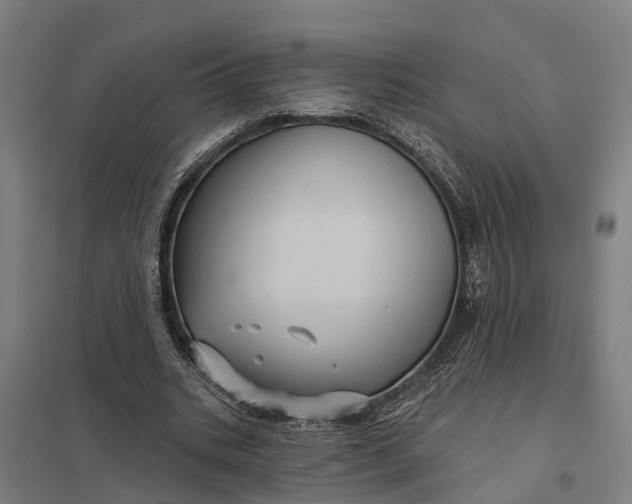 X0000097850535200803281251