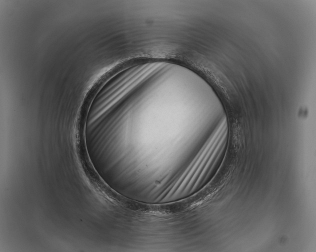 X0000097850536200803281251