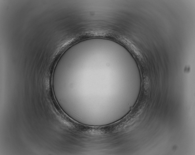 X0000097850537200803281251