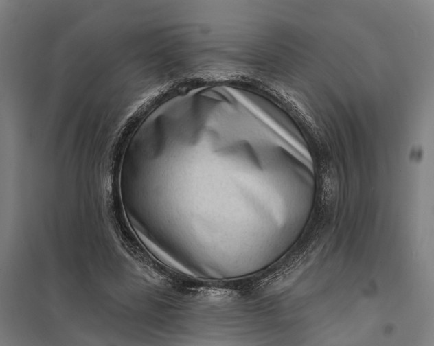 X0000097850539200803281251