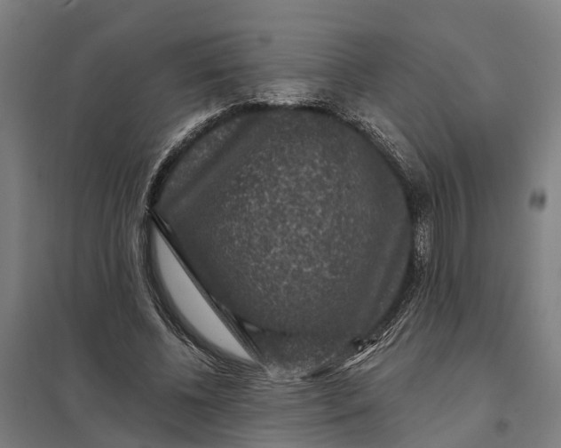 X0000097850540200803281251