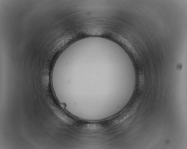 X0000097850541200803281251