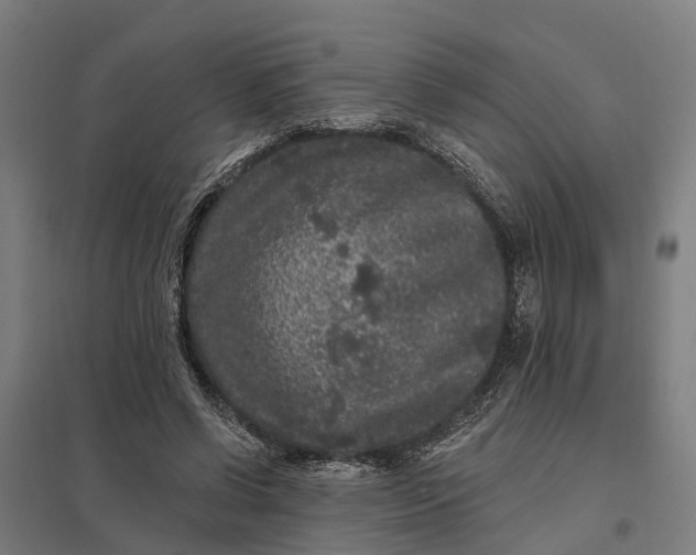 X0000097850542200803281251