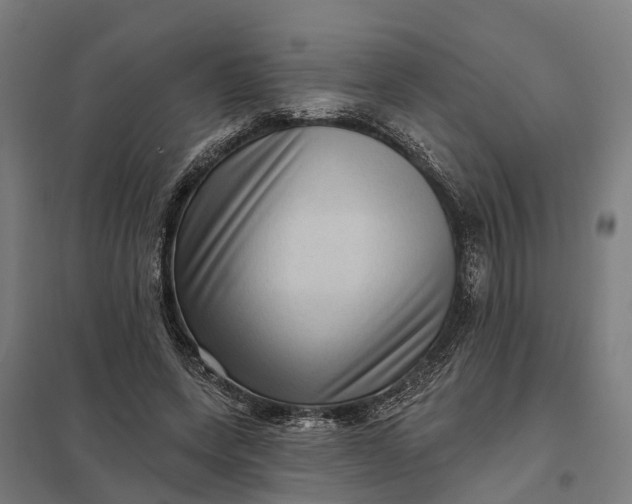 X0000097850543200803281251