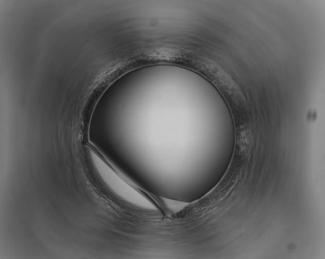 X0000097850544200803281251