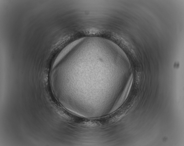 X0000097850545200803281251