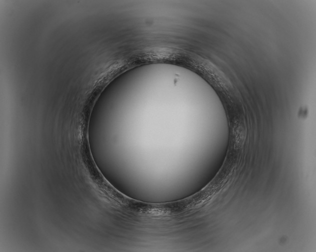 X0000097850546200803281251