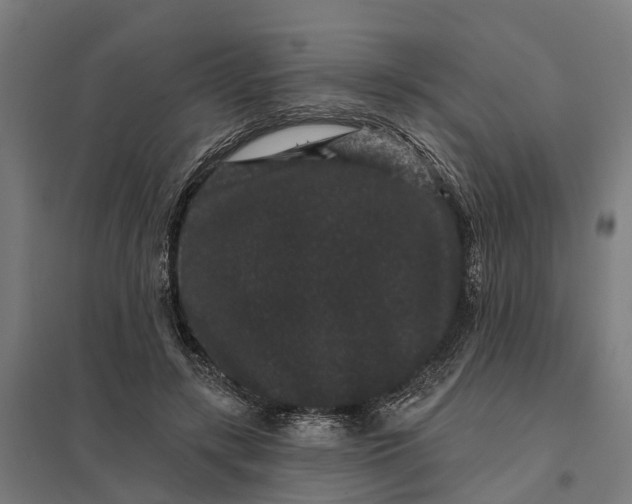 X0000097850547200803281251