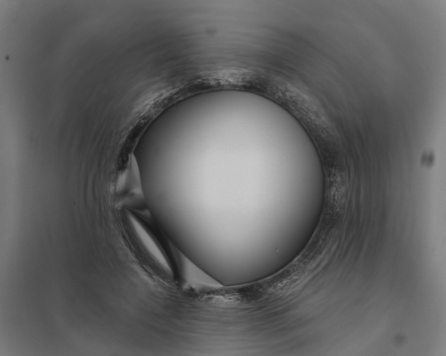 X0000097850548200803281251