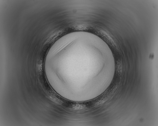 X0000097850549200803281251