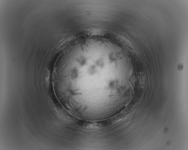 X0000097850550200803281251