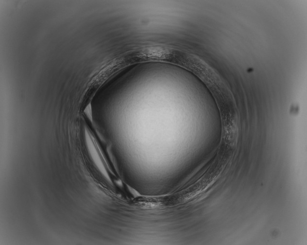 X0000097850552200803281251