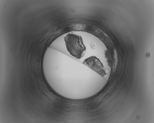 X0000097850553200803281251