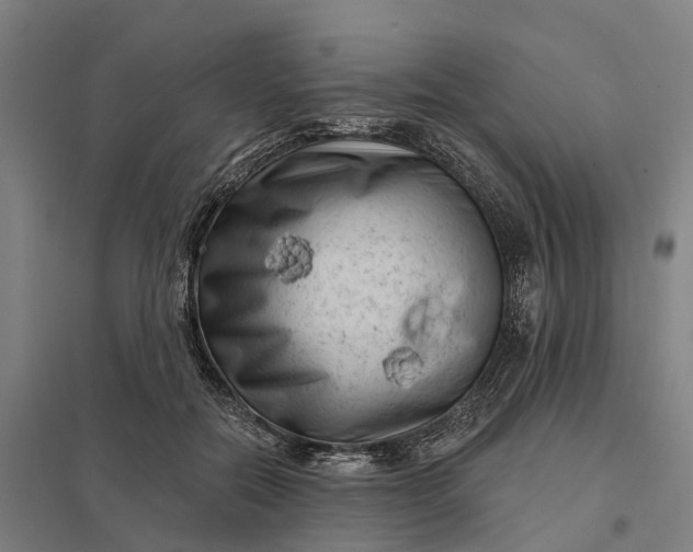 X0000097850554200803281251