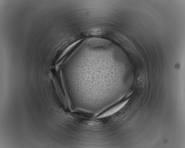 X0000097850555200803281252