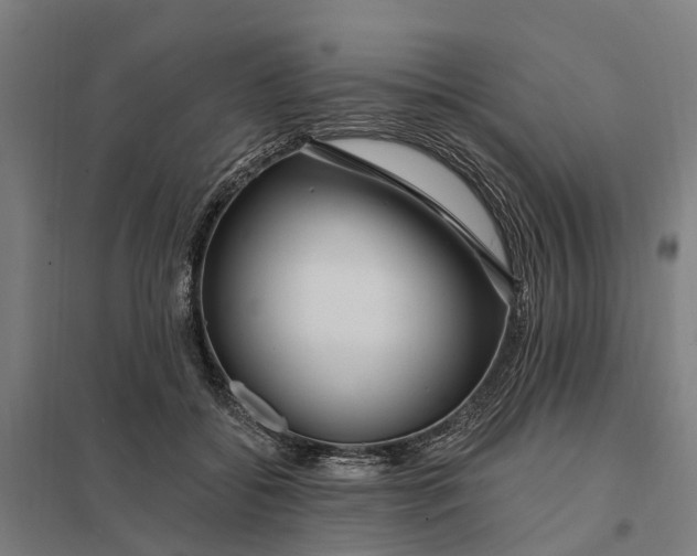 X0000097850556200803281252