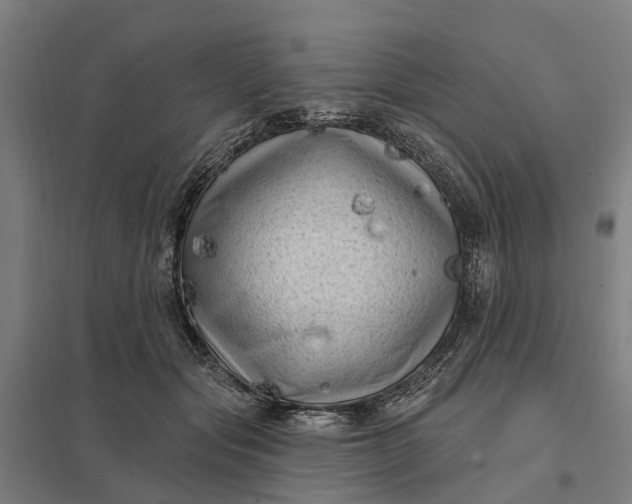 X0000097850557200803281252