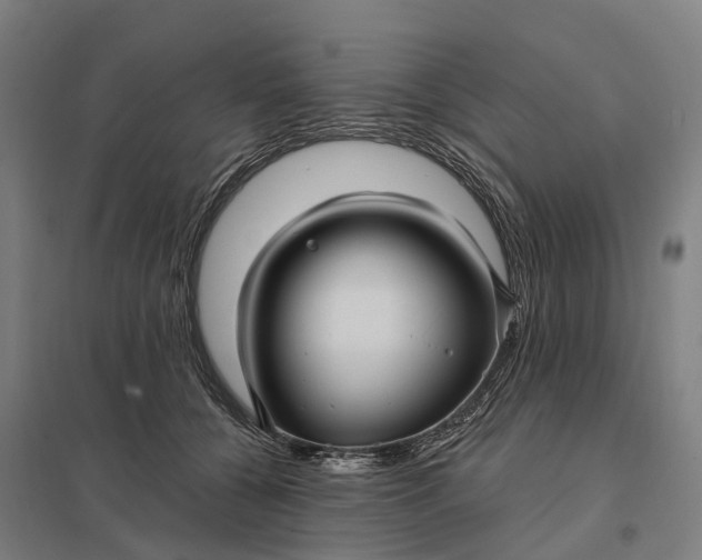 X0000097850560200803281252