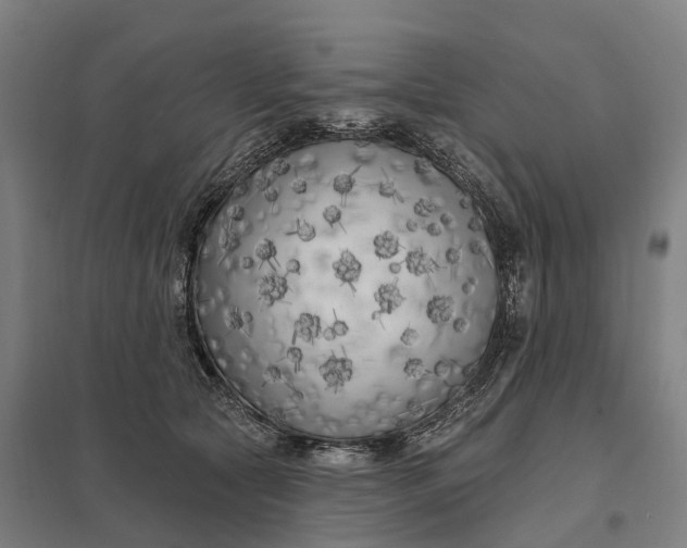 X0000097850561200803281252