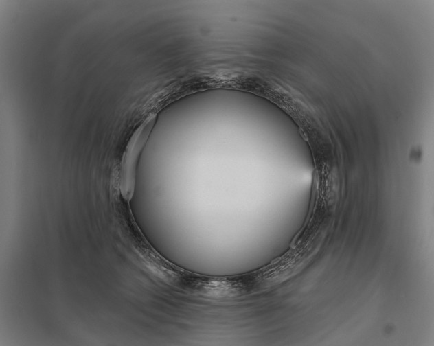 X0000097850562200803281252