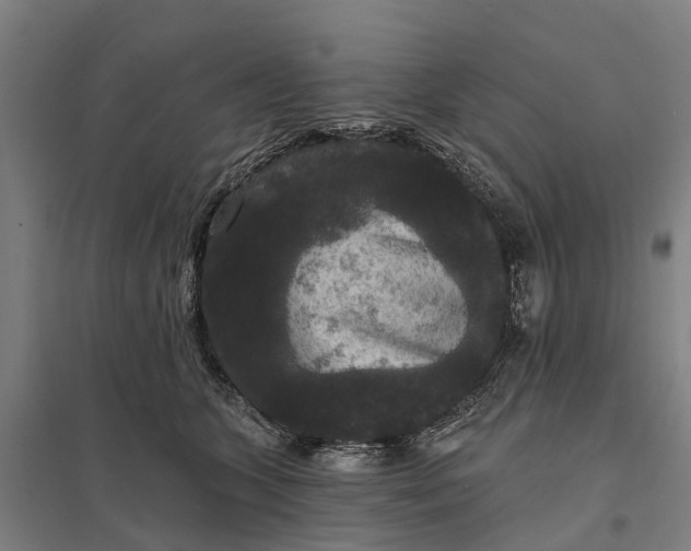 X0000097850563200803281252