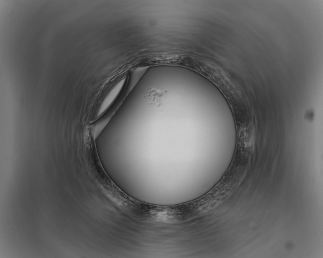 X0000097850564200803281252