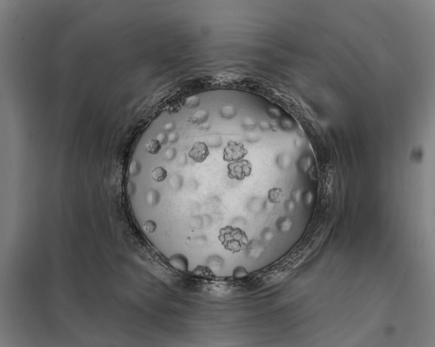 X0000097850565200803281252