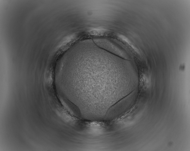 X0000097850566200803281252