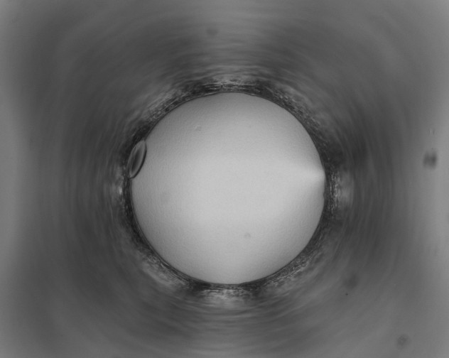 X0000097850567200803281252