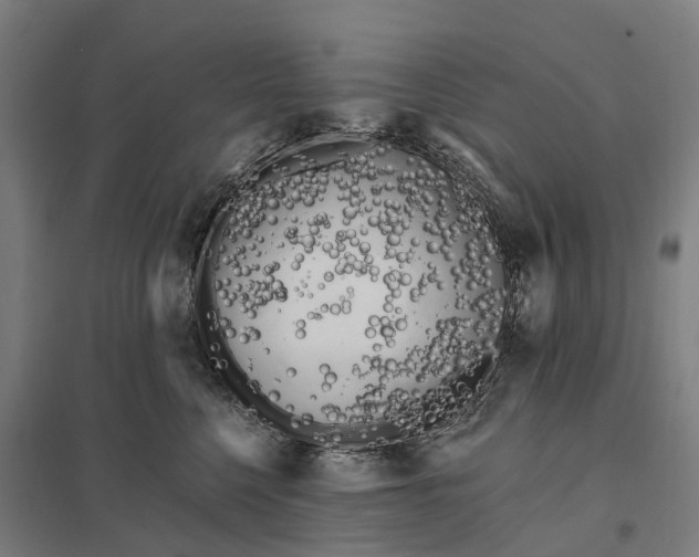 X0000097850568200803281252