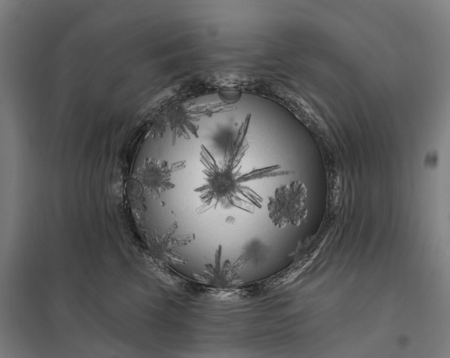 X0000097850569200803281252