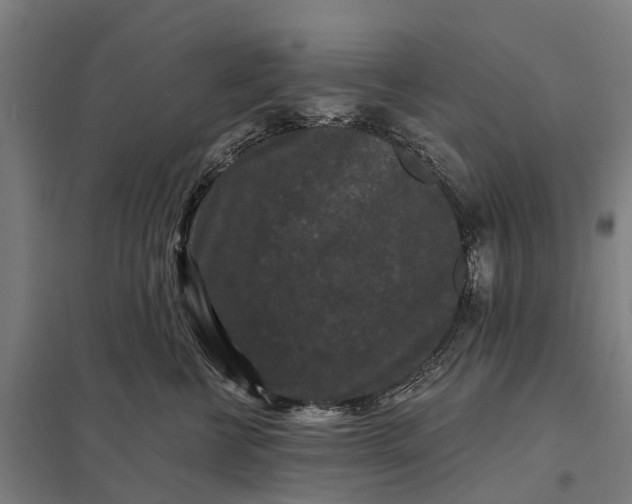 X0000097850570200803281252