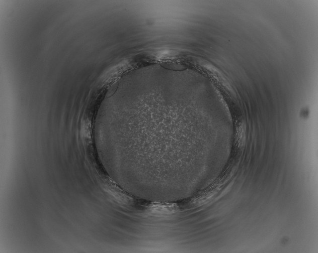 X0000097850571200803281252