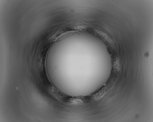 X0000097850572200803281252