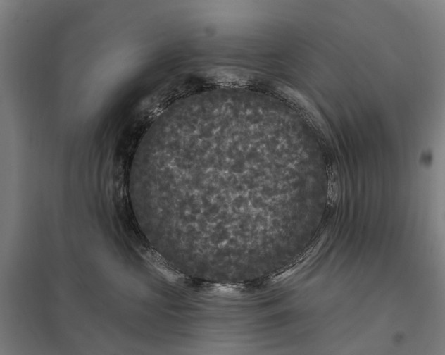 X0000097850573200803281252