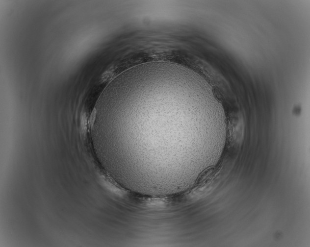 X0000097850574200803281252