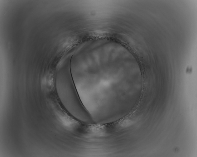 X0000097850576200803281252