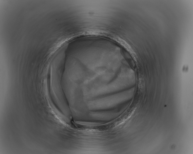 X0000097850577200803281251