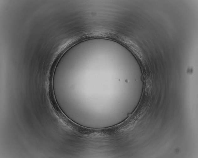 X0000097850578200803281251