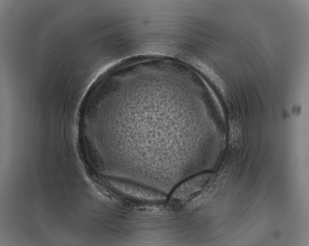 X0000097850580200803281251