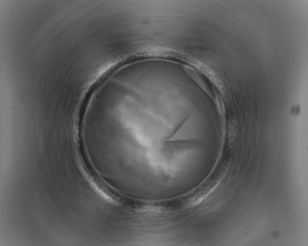 X0000097850581200803281251