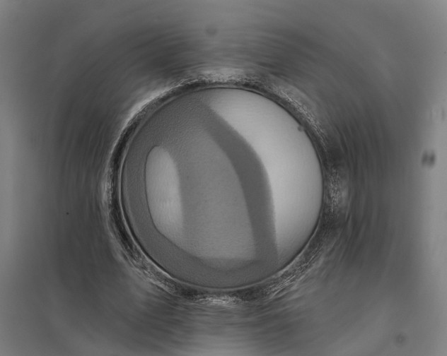 X0000097850583200803281251