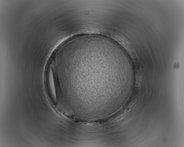 X0000097850584200803281251