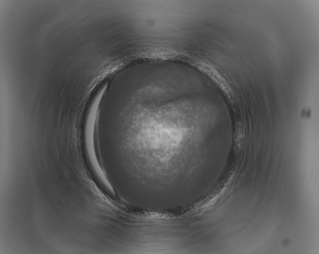 X0000097850585200803281251