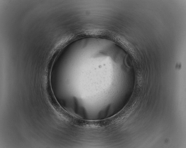 X0000097850586200803281251