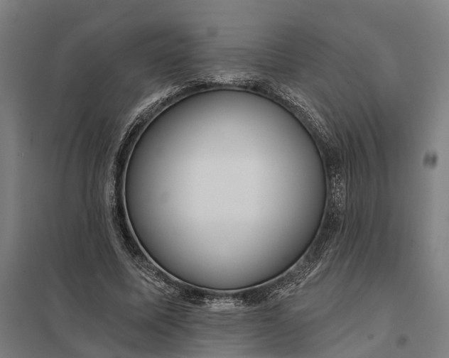 X0000097850587200803281251