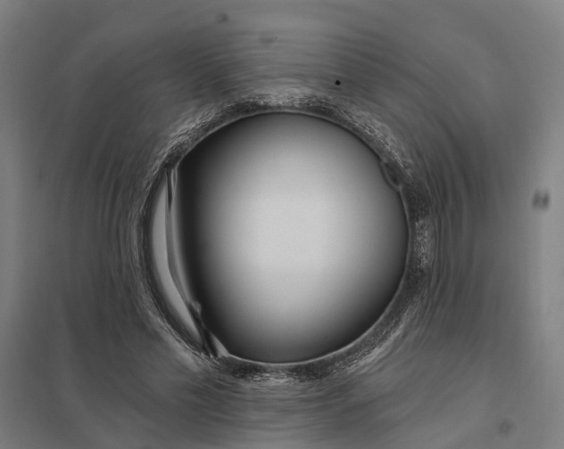 X0000097850589200803281251