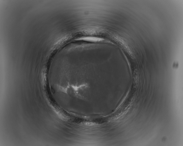 X0000097850590200803281251